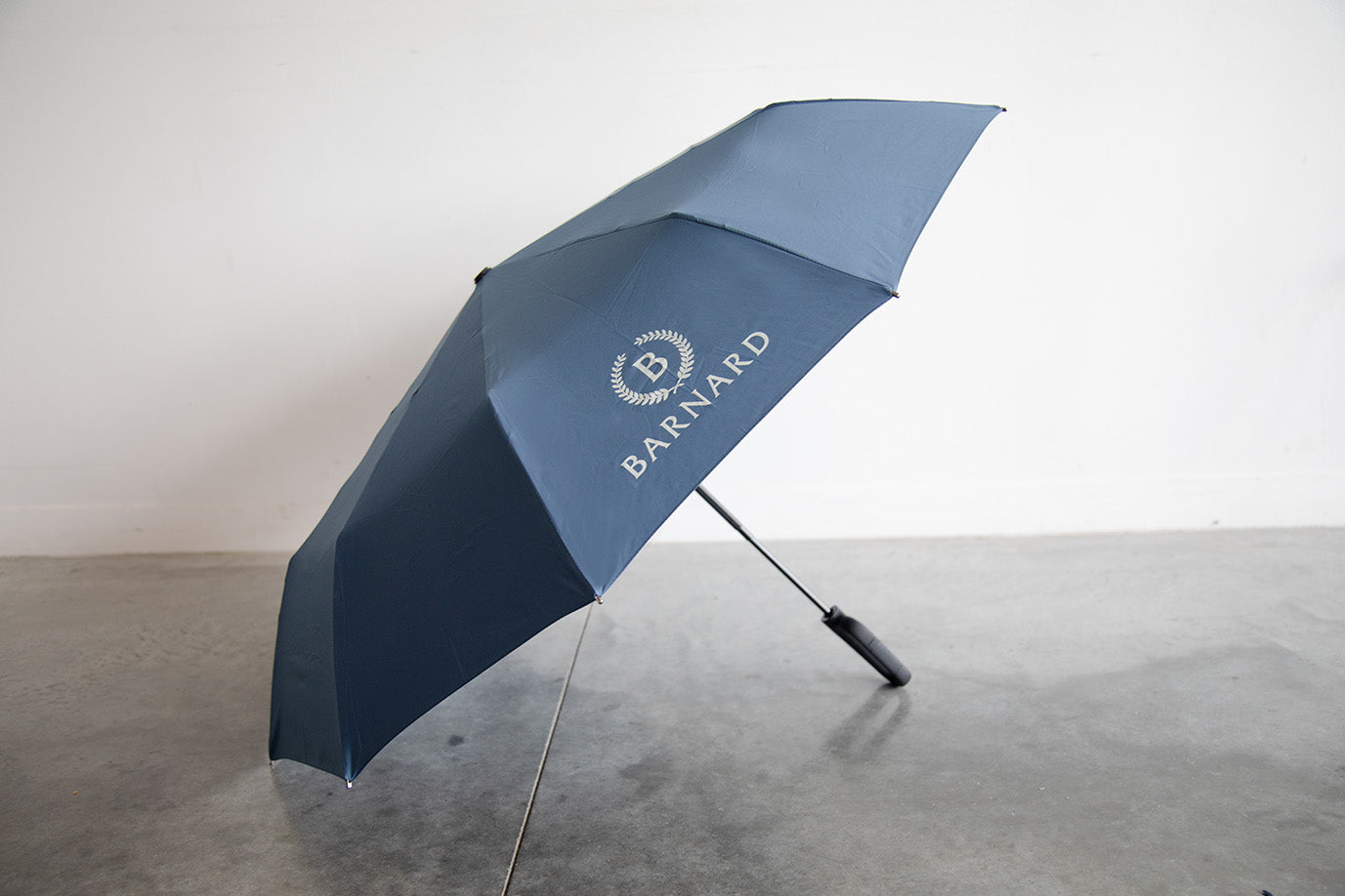 Everyday Carabiner Umbrella