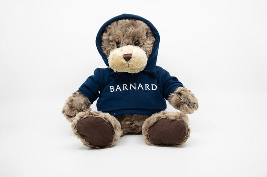 College Hoodie Teddy Bear