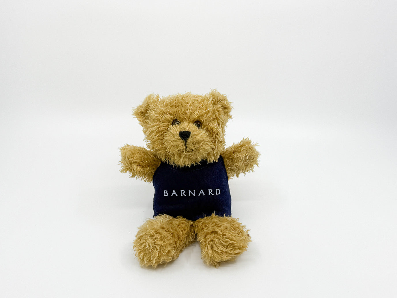 Itty Bitty Millie Bear