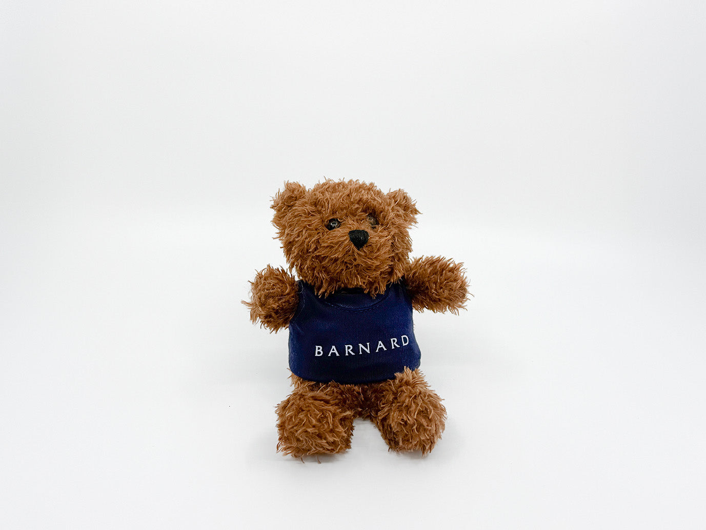 Itty Bitty Millie Bear