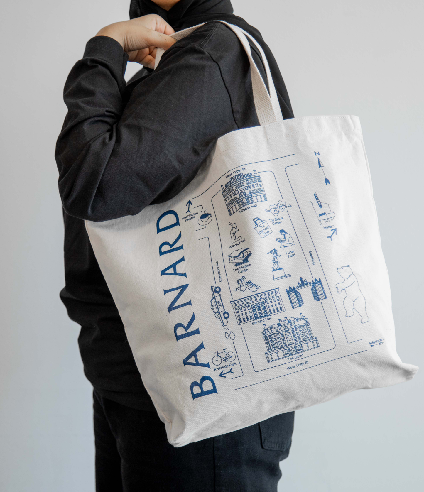 Maptote Beach Bag