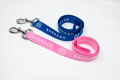 Pet Leash