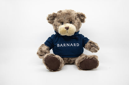College Hoodie Teddy Bear