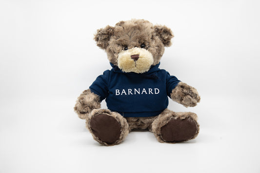 College Hoodie Teddy Bear