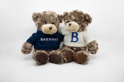 Sweater Teddy Bear