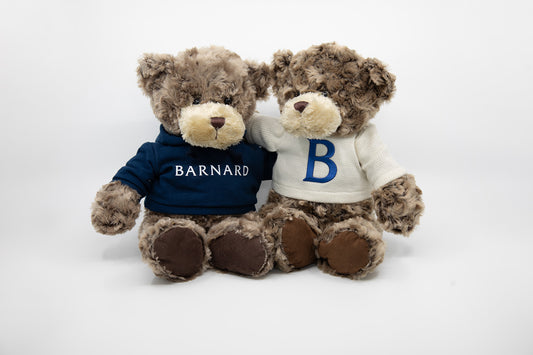 Sweater Teddy Bear