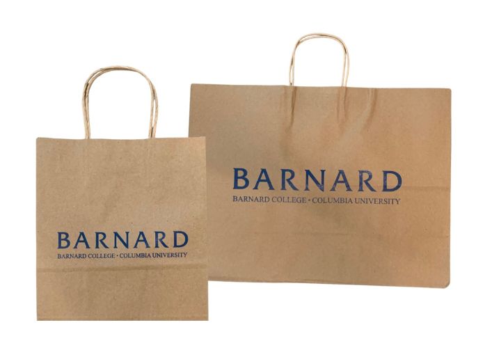Paper Bag charge