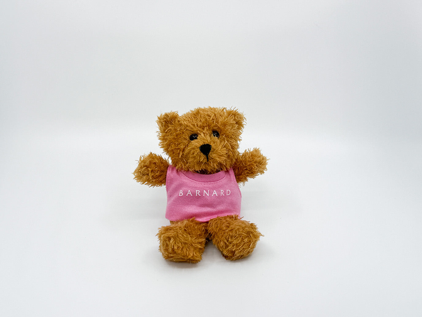 Itty Bitty Millie Bear