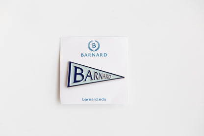 Enamel Pennant Pin