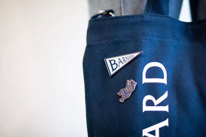 Enamel Pennant Pin